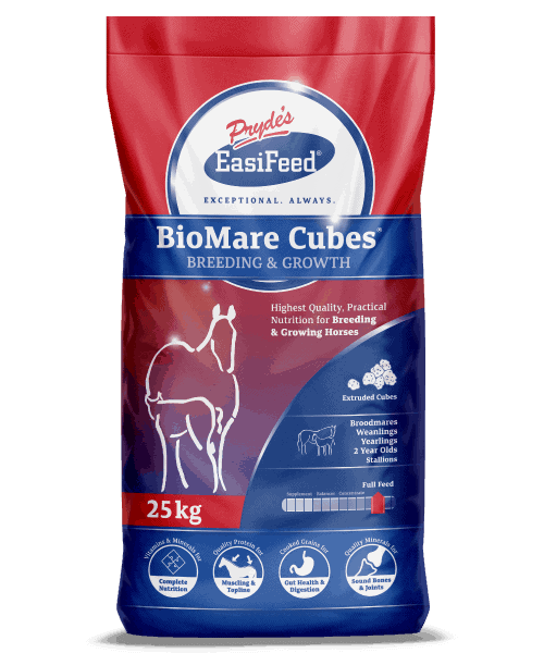 PRYDE'S BIO MARE CUBES 25KG