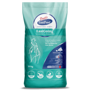PRYDE'S EASIGOING 20KG