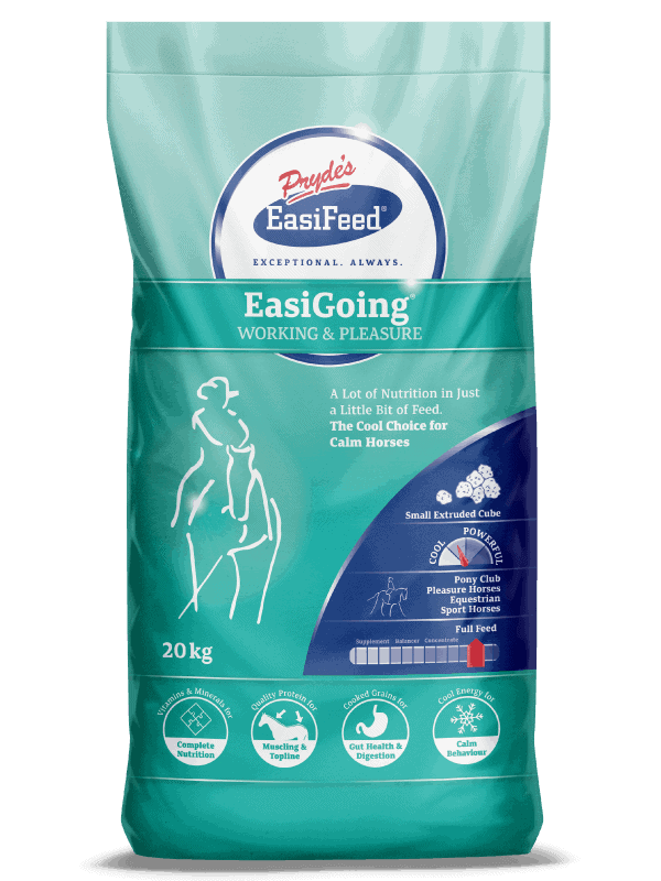PRYDE'S EASIGOING 20KG