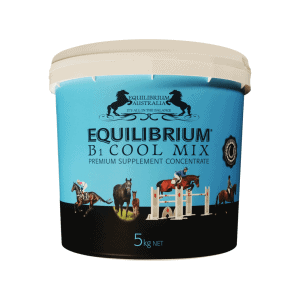 EQUILIBRIUM B COOL MIX 5KG