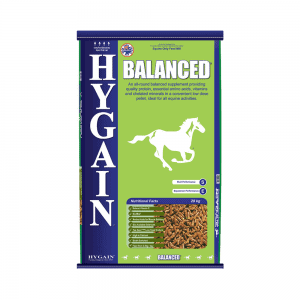HYGAIN BALANCED 20KG