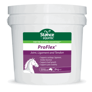 EQUITEC PROFLEX 2KG