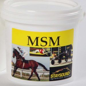 STAY SOUND MSM 1KG