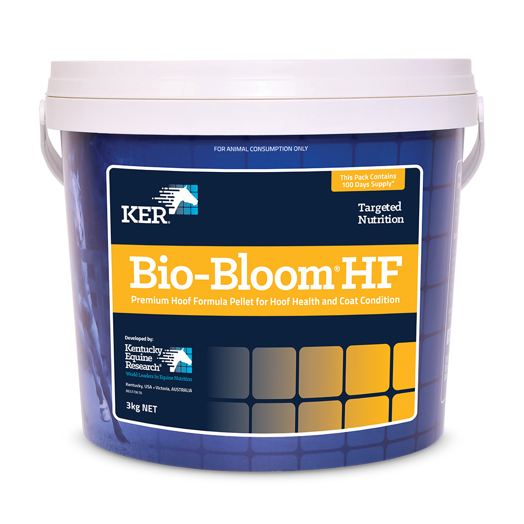 BIO BLOOM HF 3KG