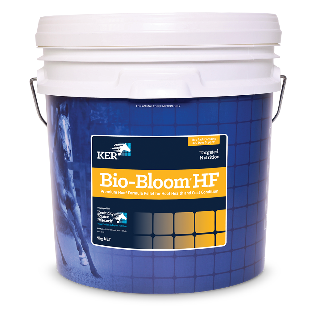 BIO BLOOM HF 9KG