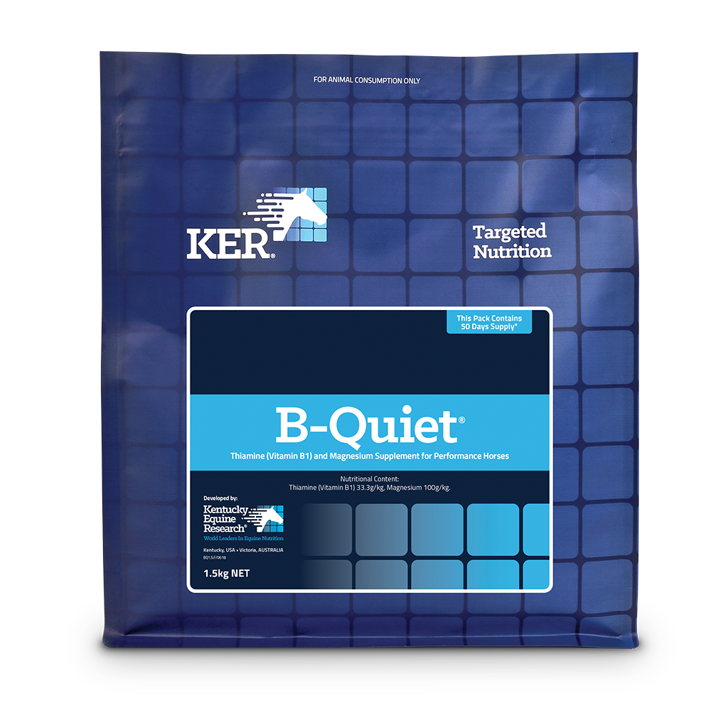 B-QUIET 1.5KG