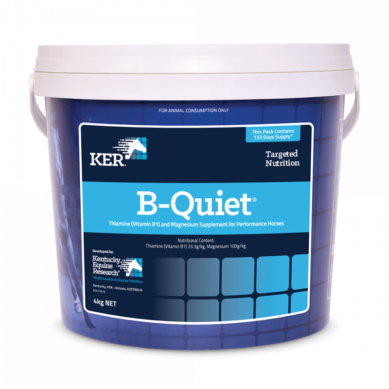 B-QUIET 4KG
