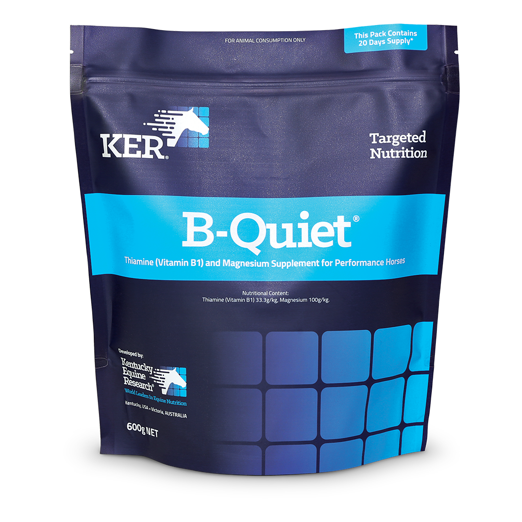 B-QUIET 600G