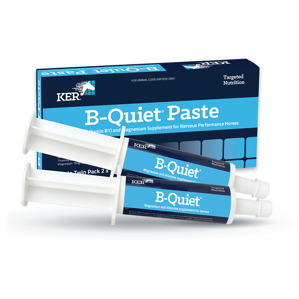 B-QUIET PASTE