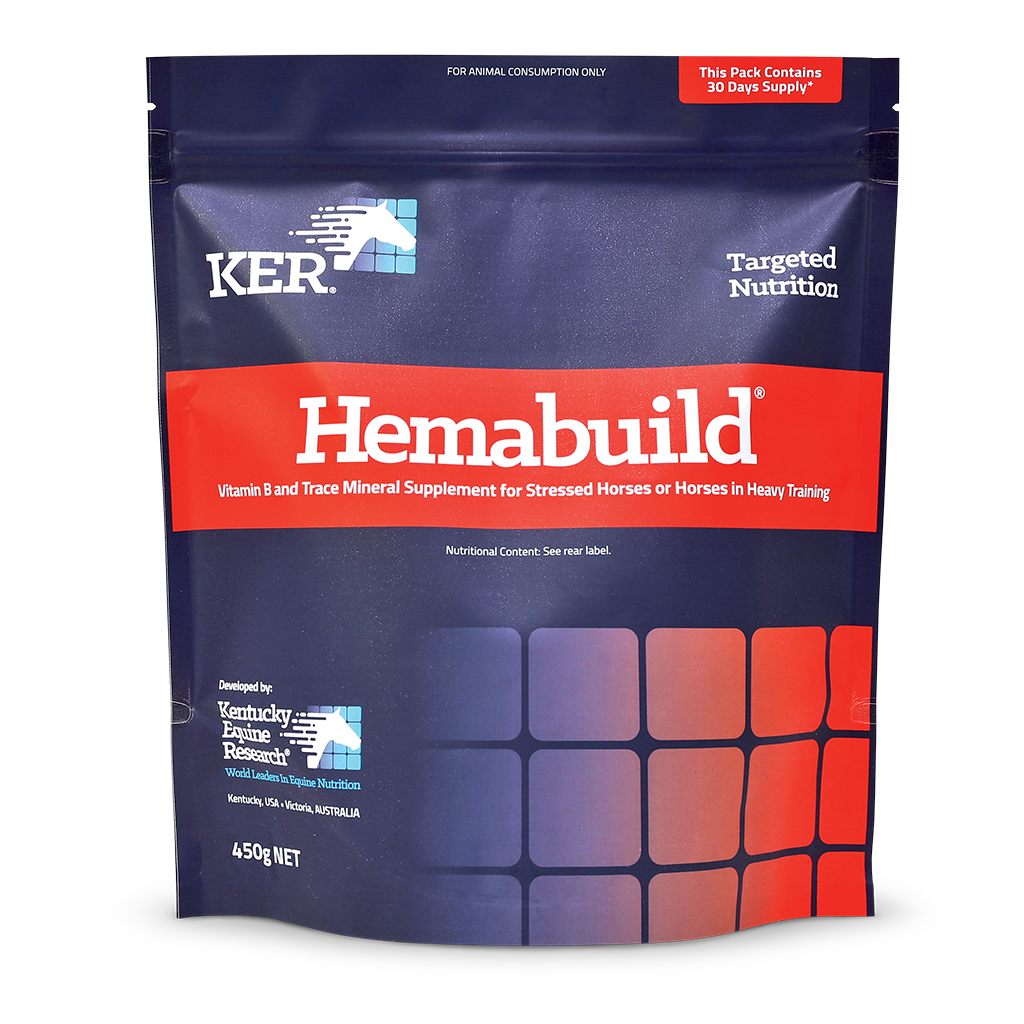 HEMABUILD 450G