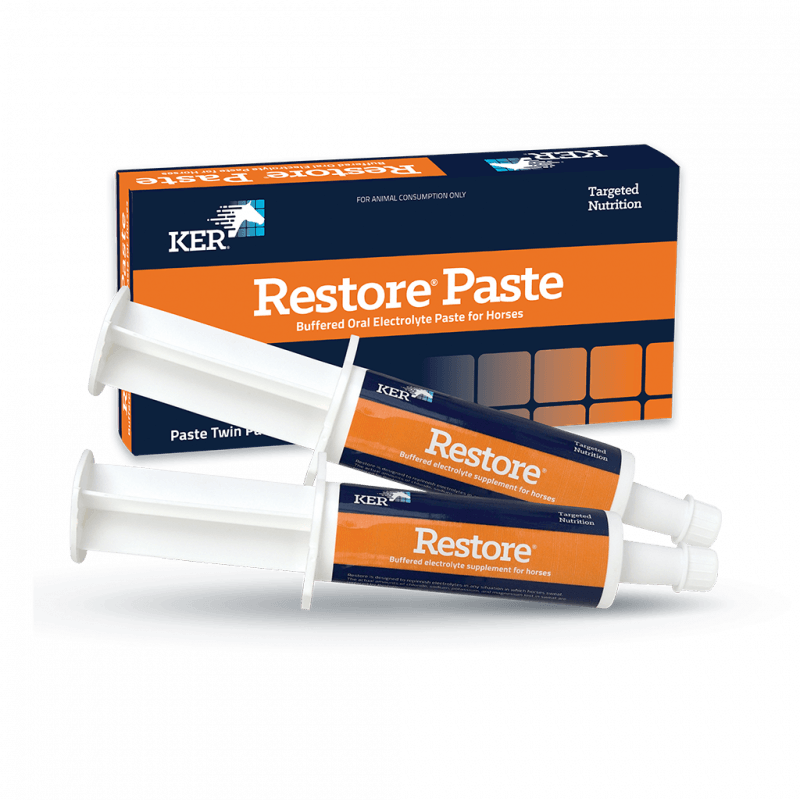 RESTORE PASTE