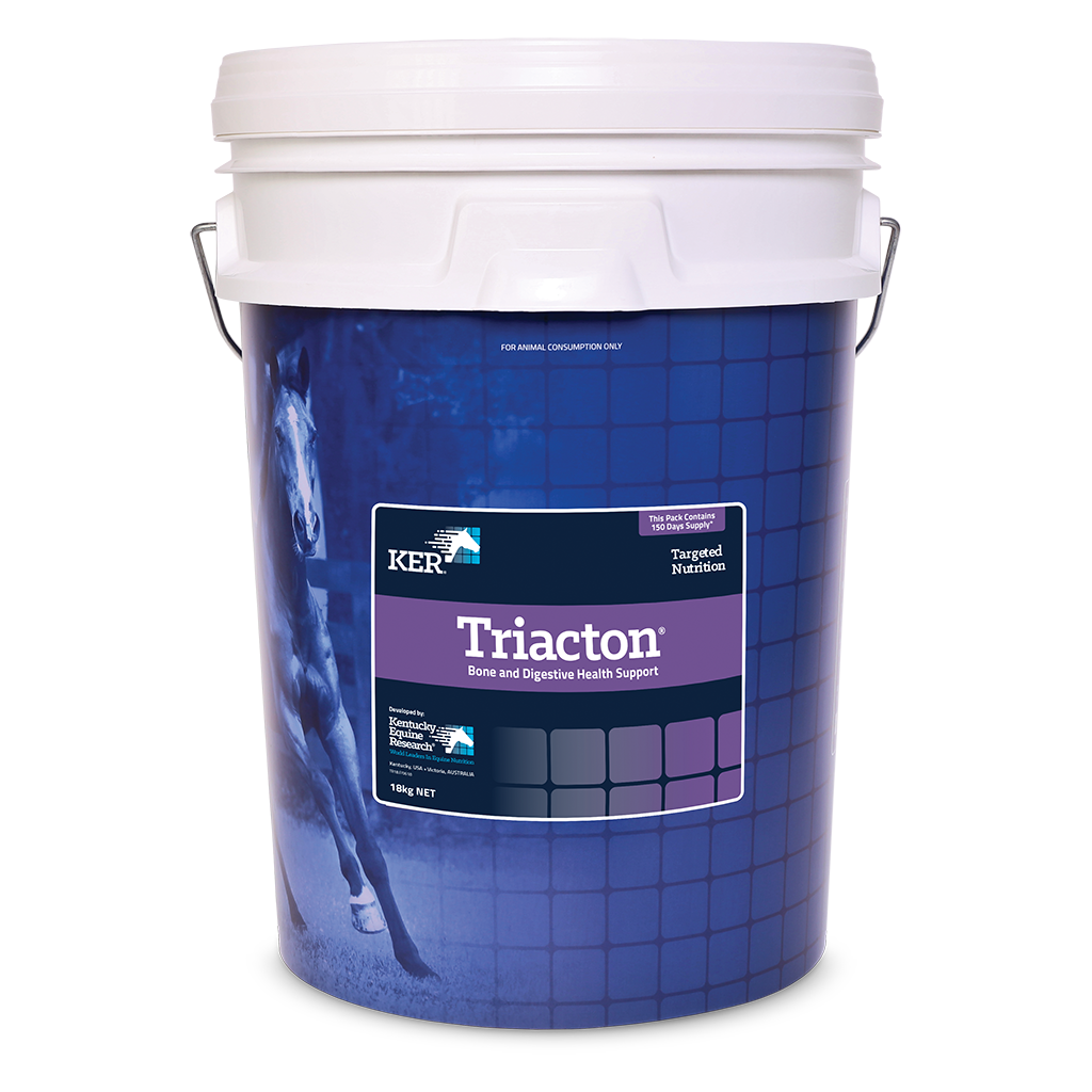 TRIACTION 18KG
