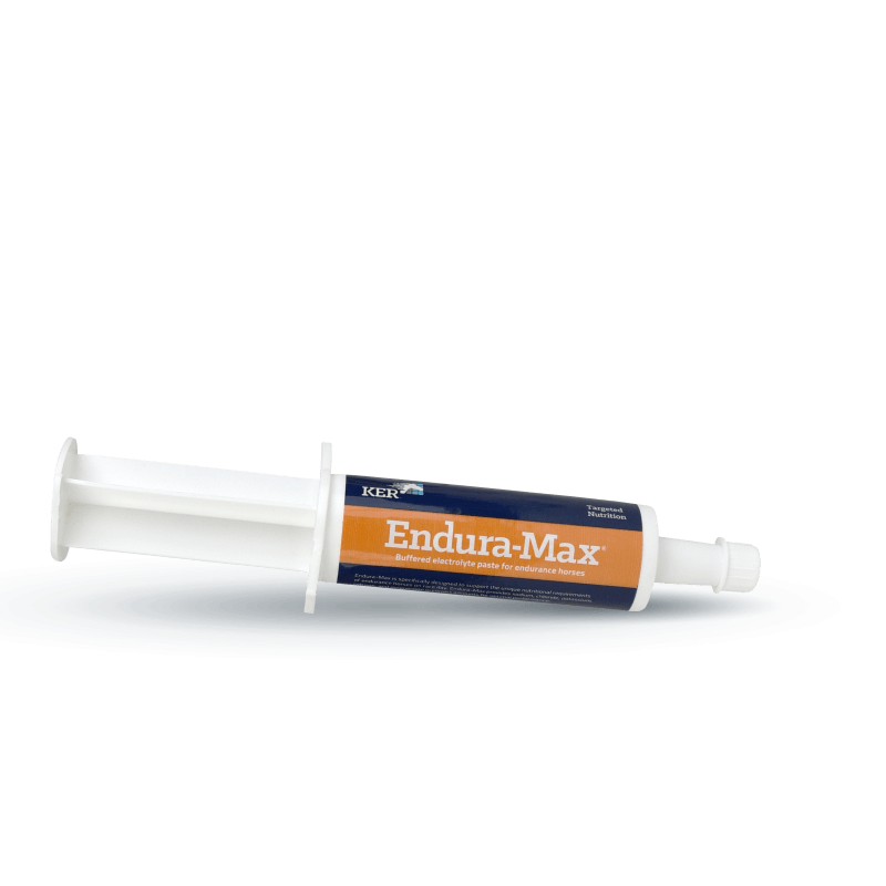 ENDURA-MAX PASTE