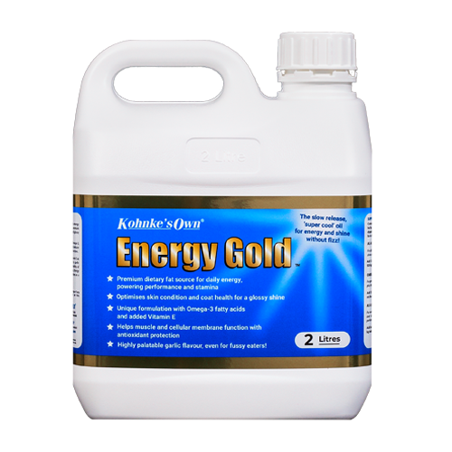 KOHNKE ENERGY GOLD 2L