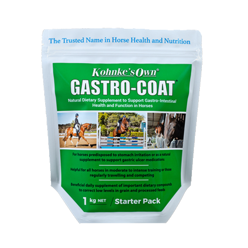 KONHKE GASTRO-COAT 1KG