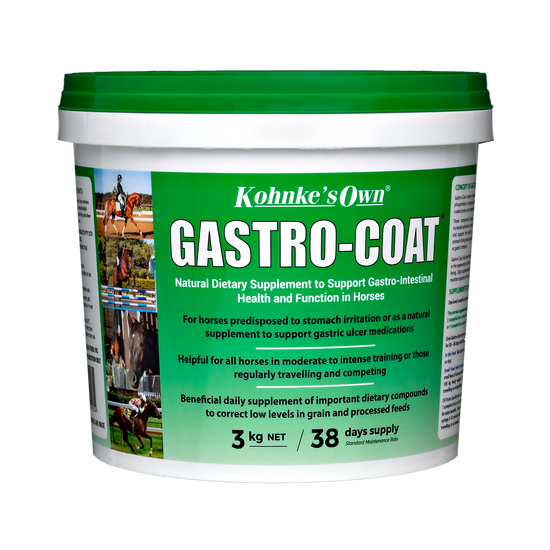 KONHKE GASTRO-COAT 3KG