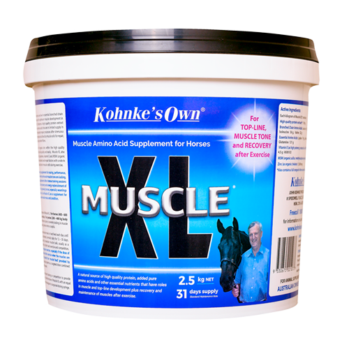 KOHNKE MUSCLE XL 2.5KG
