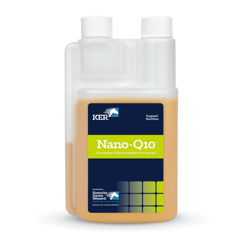 NANO-Q10 450ML