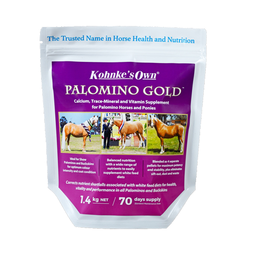 KOHNKE PALOMINO GOLD 1.4KG