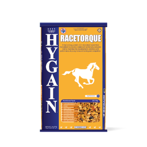 HYGAIN RACETORQUE 20KG