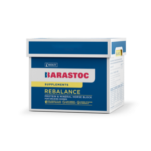 REBALANCE HORSE BLOCK