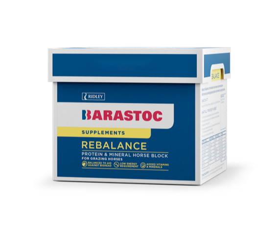 REBALANCE HORSE BLOCK