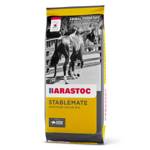 STABLEMATE 20KG