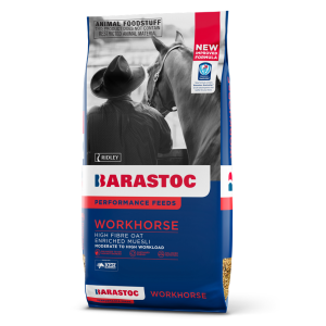 WORKHORSE 20KG