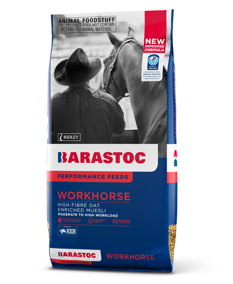 WORKHORSE 20KG