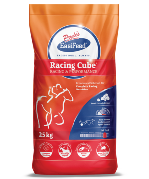 RACING CUBE 25KG