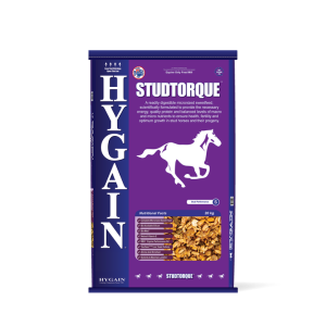 HYGAIN STUDTORQUE 20KG