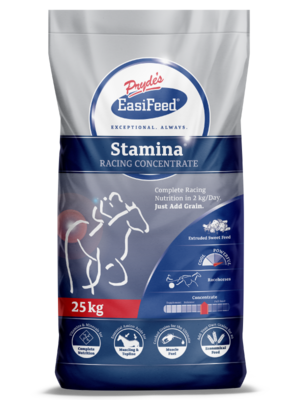 STAMINA 25KG